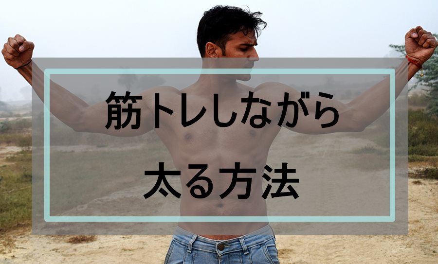 イメージカタログ 立派な 上半身 太る 方法